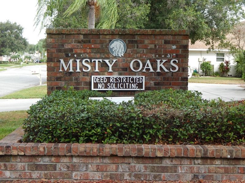 MISTY OAKS OWNERS ASSOCIATION, INC